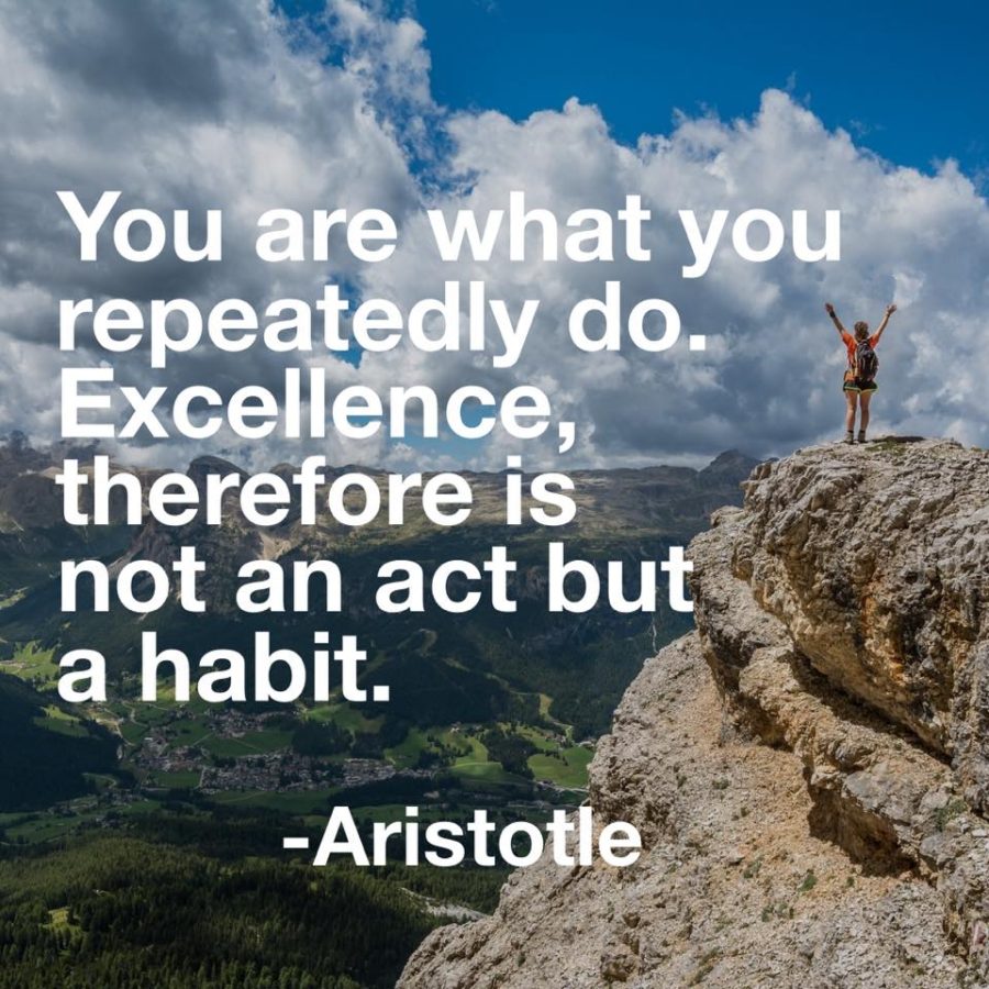 You are what you repeatedly do – Gary Greeno